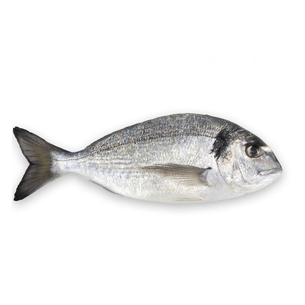 pescado besugo