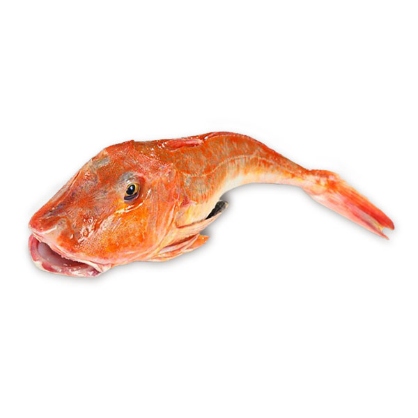 pescado rubio