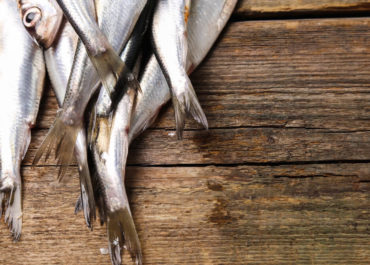 Las numerosas propiedades de la sardina fresca