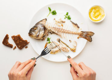 ¿Qué pescados comer?: Los pescados más beneficiosos para tu salud