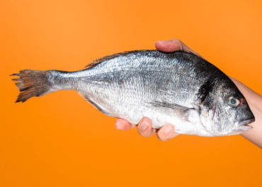 El Sargo: descubre las delicias culinarias del pescado gallego